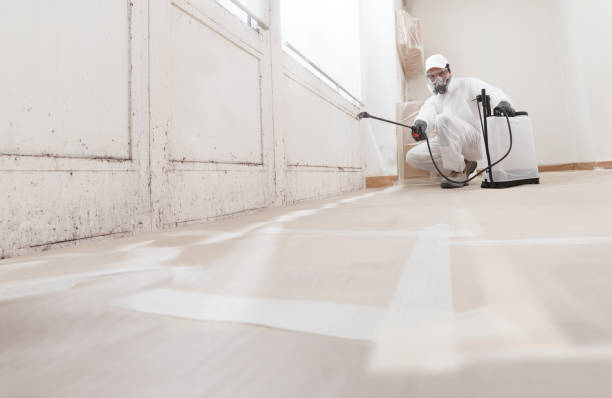 24/7 Emergency Mold Remediation experts in Keenesburg, CO